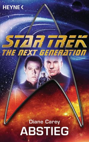 Cover of the book Star Trek - The Next Generation: Abstieg by Carmen Geiss, Robert Geiss, Andreas Hock