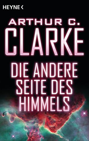 Book cover of Die andere Seite des Himmels
