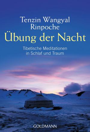 Cover of the book Übung der Nacht by Cornelia Nitsch