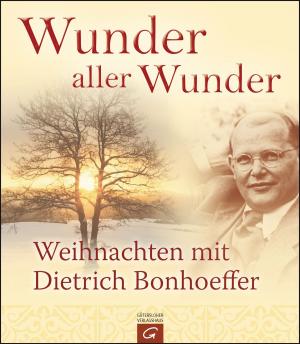 Cover of the book Wunder aller Wunder by Jürgen Ebach