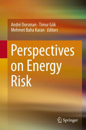 Cover of the book Perspectives on Energy Risk by Michael Böhm, W.von Scheidt, M. Wankerl, Erland Erdmann