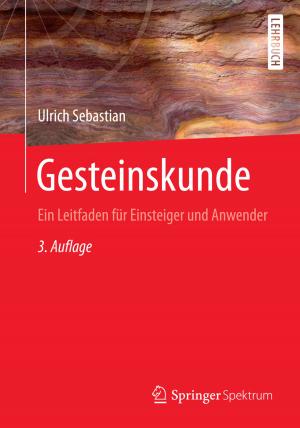 Cover of the book Gesteinskunde by Manfred Nitsche