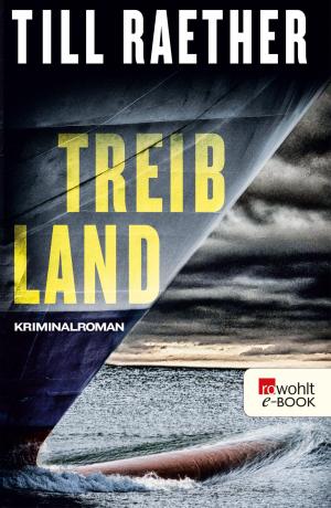 Cover of the book Treibland by Janwillem van de Wetering