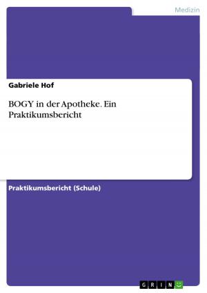Cover of the book BOGY in der Apotheke. Ein Praktikumsbericht by Ilka Dischereit