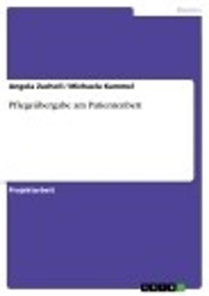 Cover of the book Pflegeübergabe am Patientenbett by Florian Wollenschein