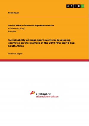 Cover of the book Sustainability at mega-sport events in developing countries on the example of the 2010 FIFA World Cup South Africa by Petra Stichert geb. Nitsch