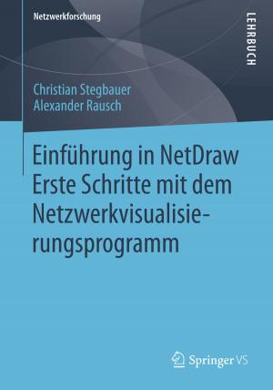 Cover of the book Einführung in NetDraw by Hermann Sicius