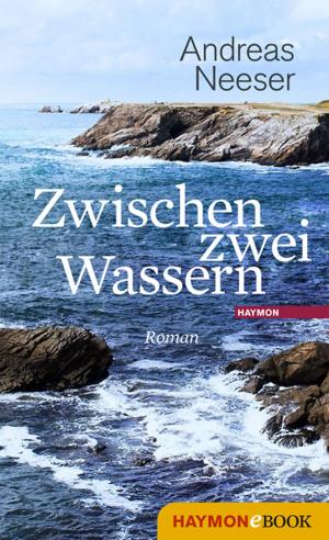 Cover of the book Zwischen zwei Wassern by Bernhard Aichner