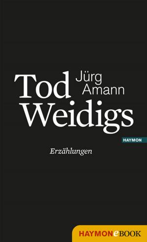 Cover of the book Tod Weidigs by Joseph Zoderer