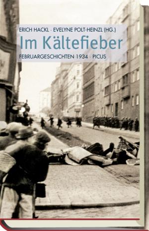 Cover of the book Im Kältefieber by Barbara Schaefer, Rasso Knoller