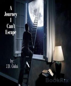 Cover of the book A Journey I Can't Escape by Rowan Erlking
