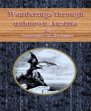 Cover of the book Wanderings through unknown Austria by Hentai Jones