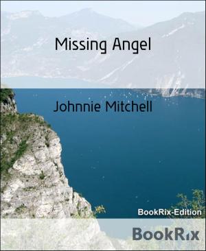 Cover of the book Missing Angel by Mia Mazur