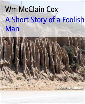 Cover of the book A Short Story of a Foolish Man by Ewa Aukett