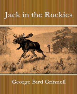 Book cover of Jack in the Rockies