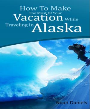 Cover of the book How To Make The Most Of Your Vacation While Traveling In Alaska by Tatjana Kronschnabl