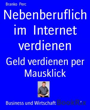 Cover of the book Nebenberuflich im Internet verdienen by Elke Immanuel