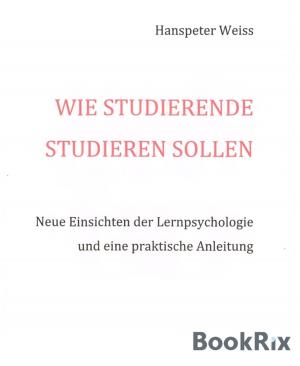 Cover of the book Wie Studierende studieren sollen by Aditya Goel