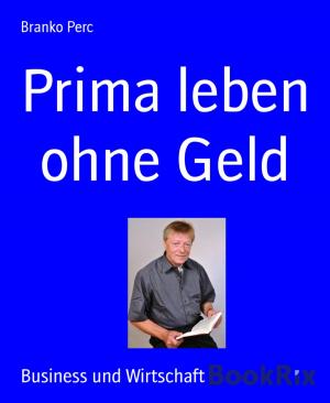 Cover of the book Prima leben ohne Geld by Alexander Besher