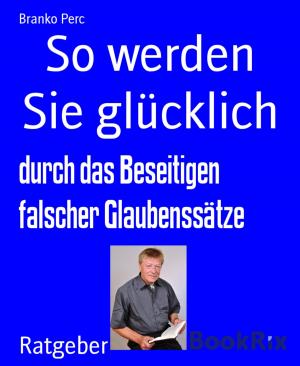 Cover of the book So werden Sie glücklich by Kay Ganahl