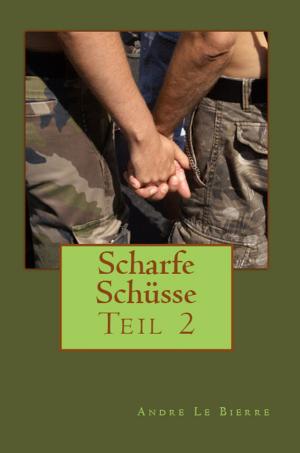 Book cover of Scharfe Schüsse
