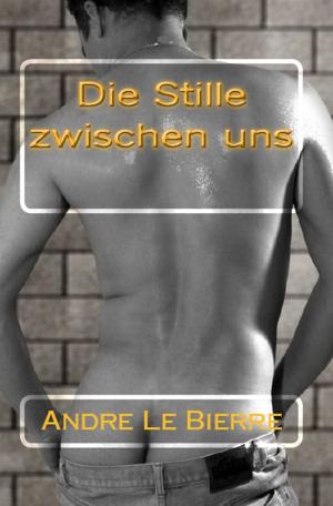 Book cover of Die Stille zwischen uns