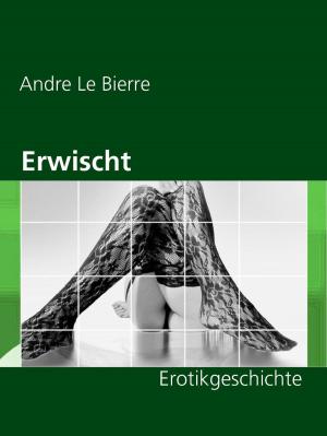 Book cover of Erwischt