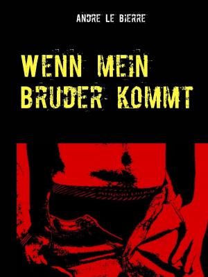 Cover of the book Wenn mein Bruder kommt by Jörg Becker