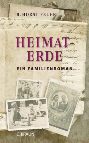 Book cover of Heimaterde