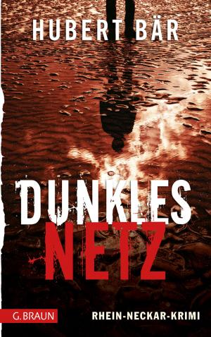Cover of the book Dunkles Netz by Katrin Gindele