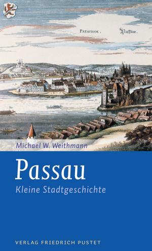 Cover of the book Passau by Sylvia Krauss-Meyl