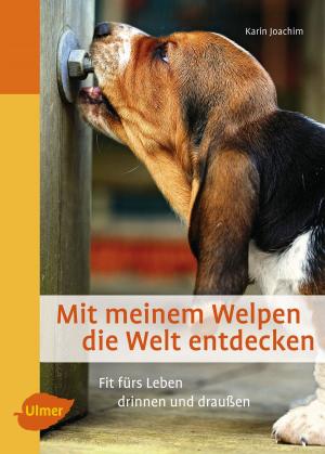Cover of the book Mit meinem Welpen die Welt entdecken by Arno Becker, Gerd Götz, Franz Rebholz