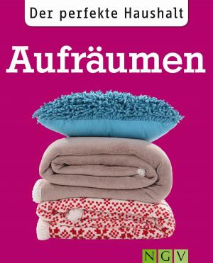 Book cover of Der perfekte Haushalt: Aufräumen