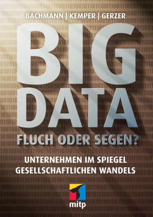 Cover of the book Big Data - Fluch oder Segen? by Matthias Paul Scholz, Beate Jost, Thorsten Leimbach