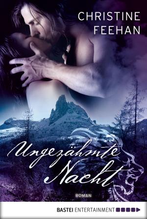 Cover of the book Ungezähmte Nacht by Andreas Eschbach