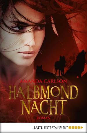 Cover of the book Halbmondnacht by Daniela Sandow, Marion Alexi