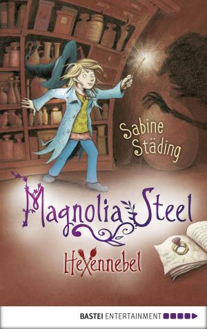 Cover of the book Magnolia Steel - Hexennebel by Sarah Lark