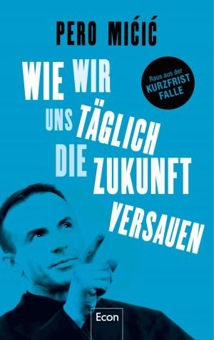 Cover of the book Wie wir uns täglich die Zukunft versauen by Stefan Ahnhem