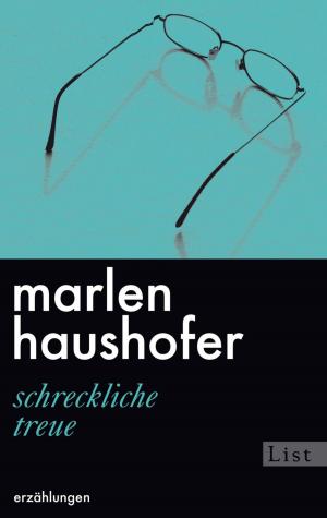 Cover of the book Schreckliche Treue by Martin Hellweg
