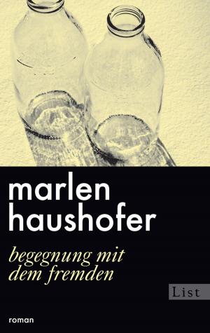 Book cover of Begegnung mit dem Fremden