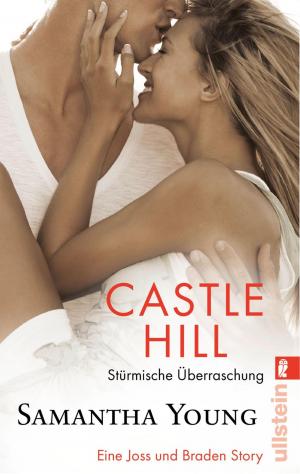 Cover of Castle Hill - Stürmische Überraschung (deutsche Ausgabe)