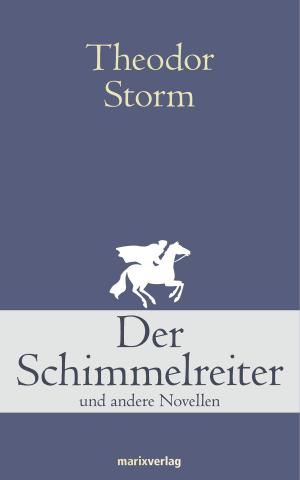 Cover of the book Der Schimmelreiter by Jürgen Wertheimer, Isabelle Holz, Florian Rogge