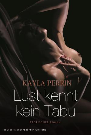 Cover of the book Lust kennt kein Tabu by Erica Spindler