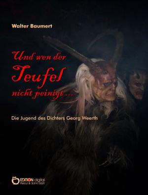 Cover of the book Und wen der Teufel nicht peinigt ... by Dietmar Beetz
