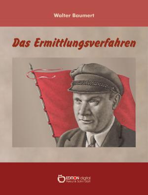 Cover of the book Das Ermittlungsverfahren by Maria Seidemann
