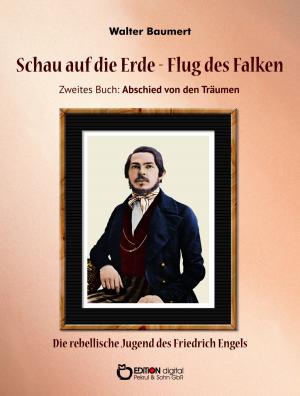 Cover of the book Schau auf die Erde - Der Flug des Falken. Zweites Buch: Abschied von den Träumen by Manfred Richter