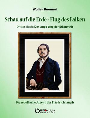 Book cover of Schau auf die Erde - Der Flug des Falken. Drittes Buch: Der lange Weg der Erkenntnis