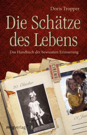 Cover of the book Die Schätze des Lebens by Kurt Tepperwein