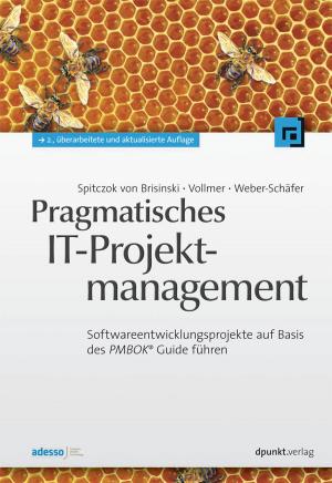 Cover of the book Pragmatisches IT-Projektmanagement by Stefan Tilkov, Martin Eigenbrodt, Silvia Schreier, Oliver Wolf