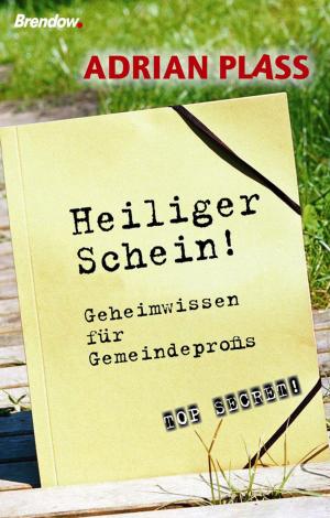 Cover of the book Heiliger Schein by Adrian Plass, Jeff Lucas